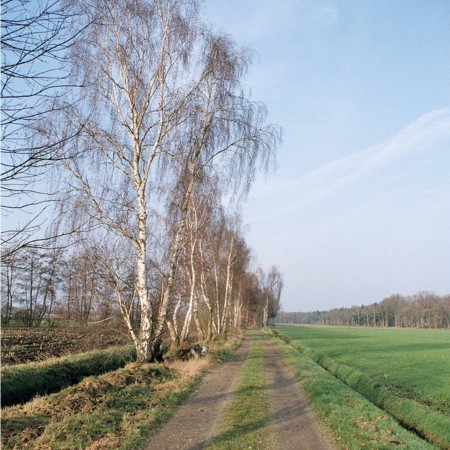 Landschap in het noorden van Helenaveen